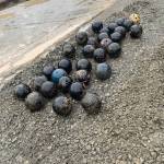 Photo provided by South Whidbey Parks and Recreation