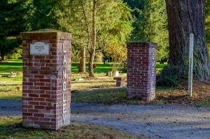 Photo by David Welton