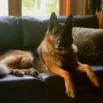 Photo provided of Willie Nelson