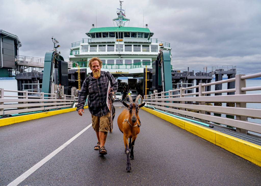 (Photo by David Welton) Cole exits the ferry with his four-legged crew.