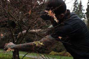 Photo by Allyson Ballard. Brian Linson has 25 years of experience in landscaping, and his company, BL Landscapes, serves Whidbey and beyond.