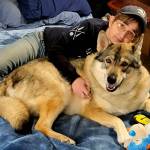 Photo provided. Ross cuddles up next to Nikita who lives like any other dog, eating dog food and doing zoomies in the yard. At age 60, Ross is preparing to hike the Pacific Crest Trail from Mexico to her house on Whidbey in honor of both wolf-dog hybrids and missing hikers.