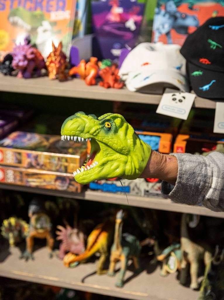 Dinosaurs at The Star Store in Langley. (Olivia Vanni / The Herald)