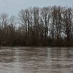 (Photo by the Mount Vernon Police Department) The Mount Vernon Police Department issued a warning on its Facebook Wednesday, warning residents to avoid flooded roadways and practice turn around, dont drown.