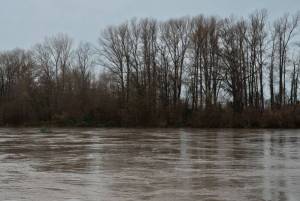 Photo by the Mount Vernon Police Department
The Mount Vernon Police Department issued a warning on its Facebook Wednesday, warning residents to avoid flooded roadways and practice "turn around, don't drown".