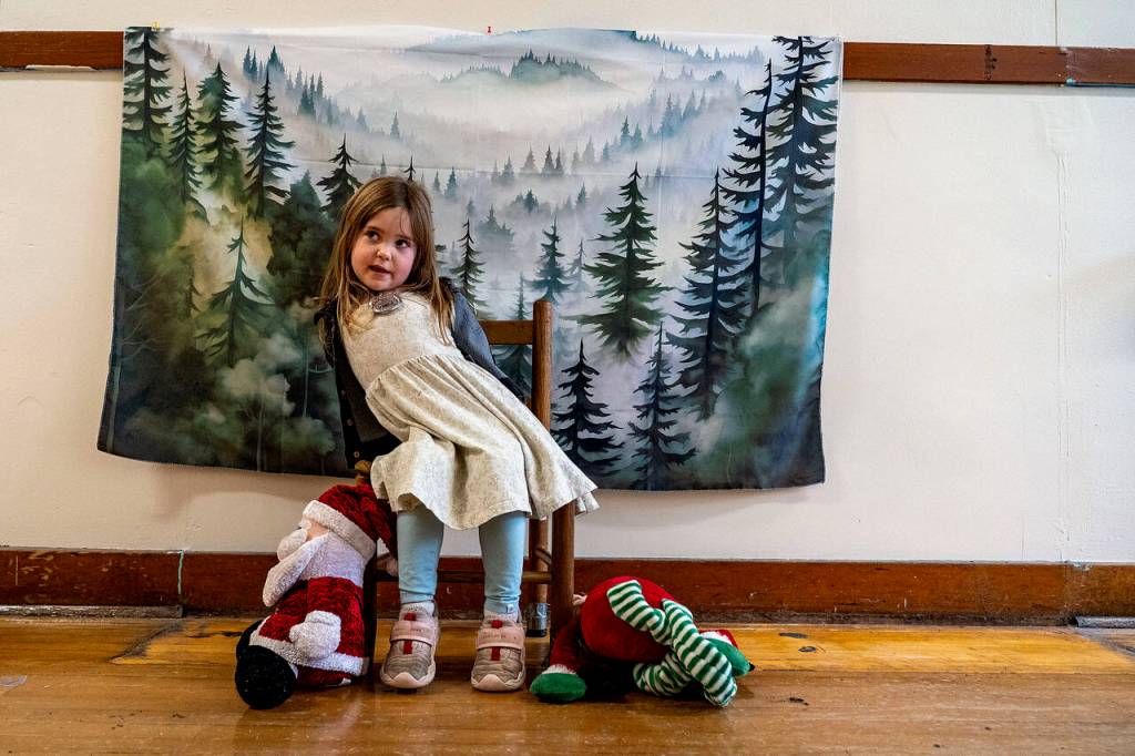 (Photo by David Welton) Macy McInerney, 4: An Anna and Elsa castle. A pretend cookie for my play kitchen.