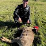 Photo provided by Ralph Downes