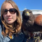 Photo provided. Master falconer and owner of Sky Bird Services LLC, Caitlyn ONeill, poses with her Hariss hawk, Casca.