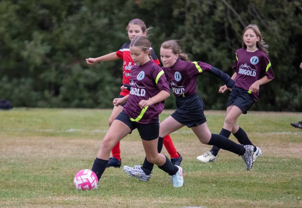 Photo by Monica Grant. Participation in youth soccer is steadily increasing, but the sport is in need of dedicated spaces to play.