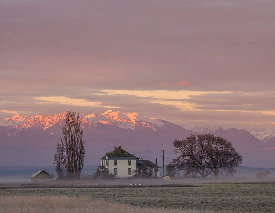 Photo by Carl Stephens