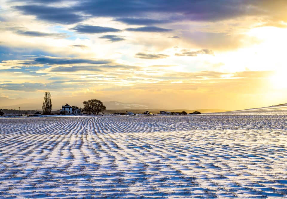 photo provided willowood farm