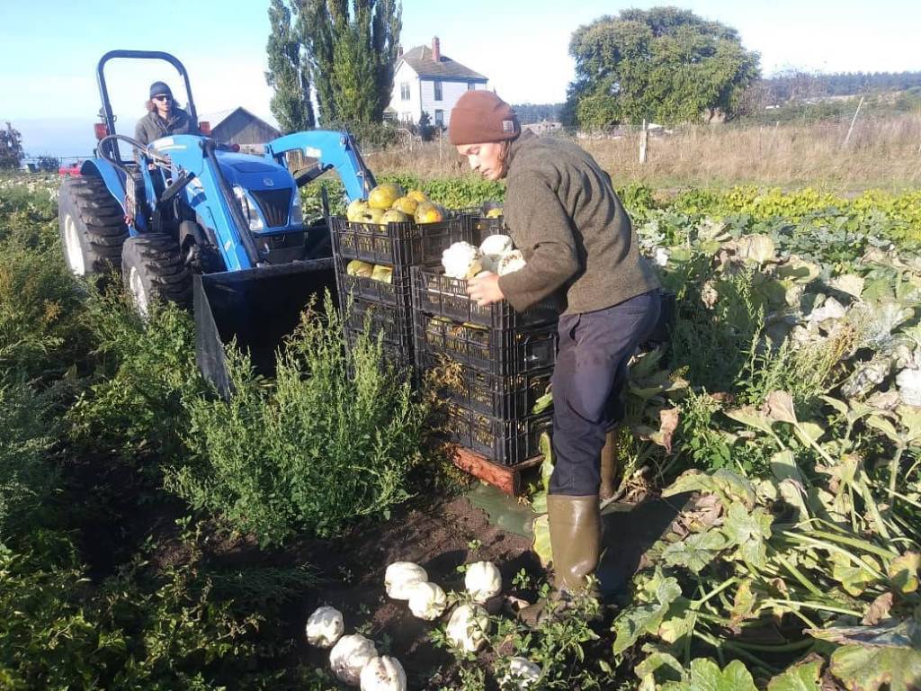 photo provided willowood farm