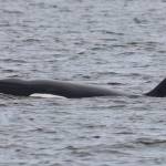 Photo by Sarah Geist