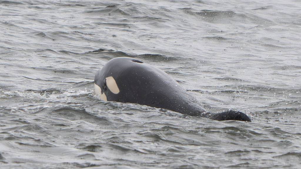 Photo by Cindi Rausch