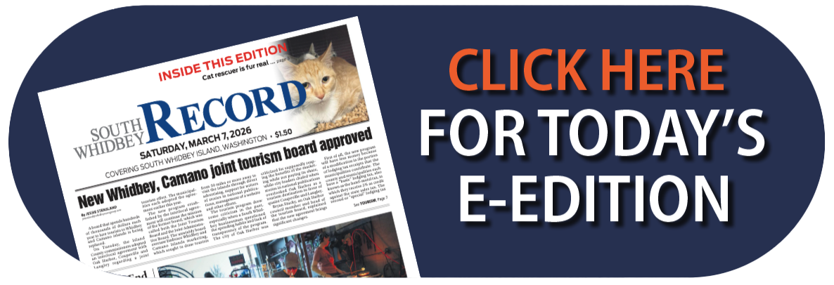 E-edition link