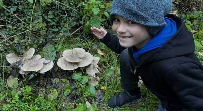 Photo provided. Landon Prince Charles Hutcherson likes eating candied mushrooms, or maybe turkey tail fungi if hes feeling adventurous.