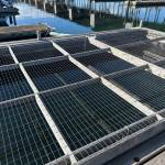 Photo by Allyson Ballard. Salmon are reared in two large pens at the marina, one of which is pictured here.