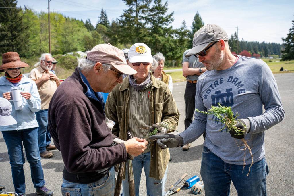 Photo by David Welton