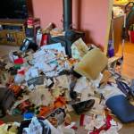 A home before the Minimirz.