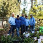 Photo by Allyson Ballard
Photo by Allyson Ballard. Pictured here from left to right, Kathy Chalfant, Jo Pavlock, Gwen Rhines, Robin Boyle and Di-Anna Pike agreed that a sense of community is what makes being a member of the Oak Harbor Garden Club so fun.