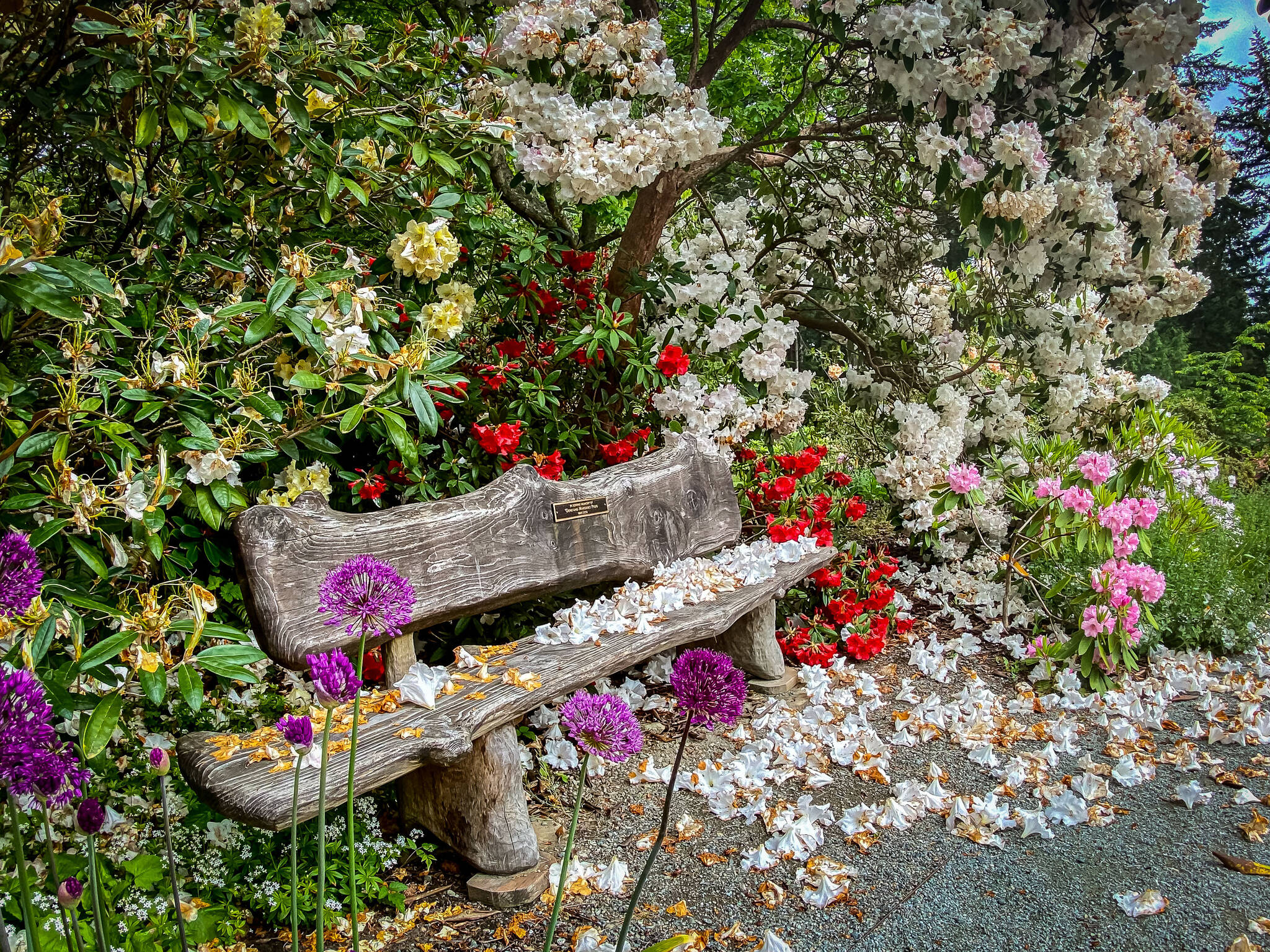 Celebrate Mother's Day at garden concert | South Whidbey Record