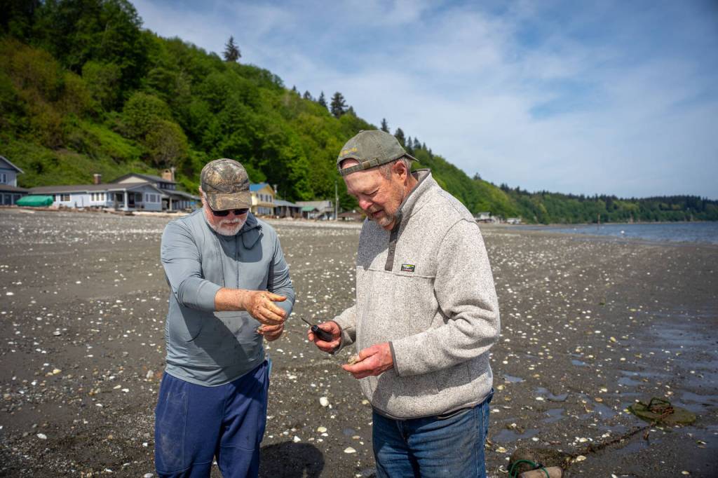 Photos by David Welton
Brighton Beach neighbors Shawn Van Gieson, left, and Willams Graves check their oyster nets in front of their Clinton homes. Both say they benefitted from connecting with the Whidbey Oyster Network started by Salinity Seafood & More.