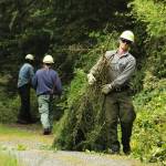 Photo by Allyson Ballard
Fire crews from the Department of Natural Resources spearheaded fuel reduction efforts around Whidbey last week.
