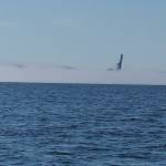 Photo provided by Salish Rescue. Salish Rescues lead operator was met with fog, however the team could see a container crane, Big Blue, located at Naval Magazine Indian Island, protruding from the gray.