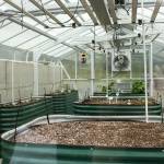 (Photo by Allyson Ballard) A climate-controlled greenhouse is one of the more technologically advanced features of the garden.