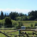 (Photo by Allyson Ballard) Ballydídean Farm Sanctuary sits on a 15-acre property.