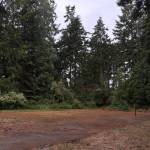 Photo by Allyson Ballard. Basketball and tennis courts sit unused in the Castilian Hills neighborhood.